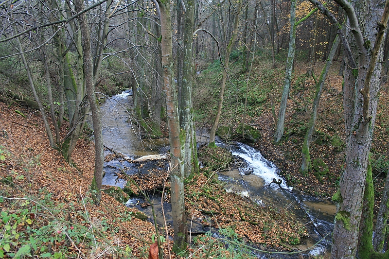 Rostoczek 11.2008 135